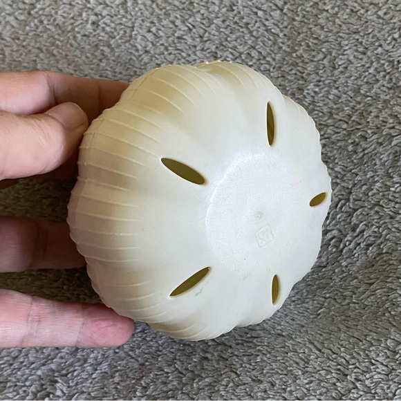 Garlic Keeper - Picture 4 of 4